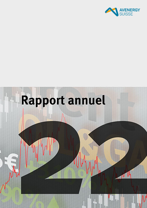 Jahresbericht 2022 fr